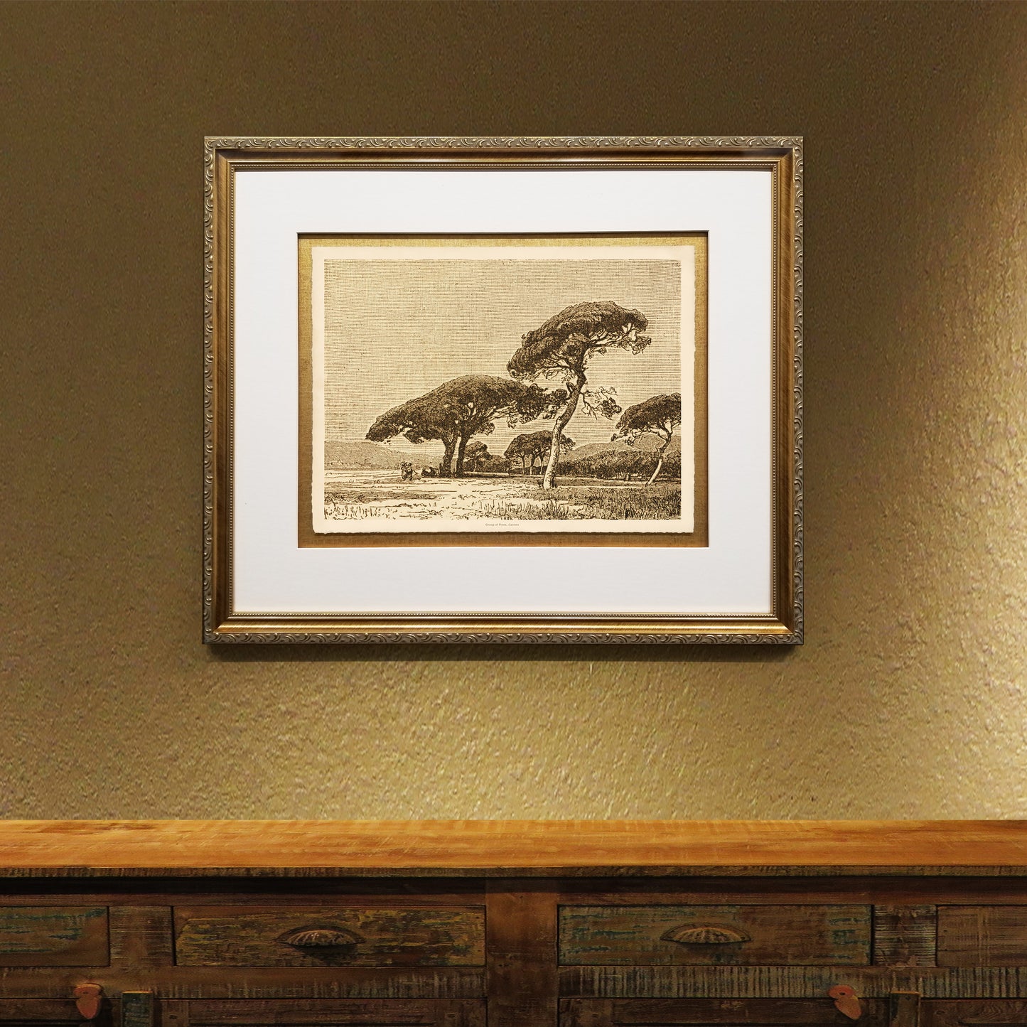 Group of Pines, Cannes Framed Fine Art Prints Gifts Antique Europe Wall Art