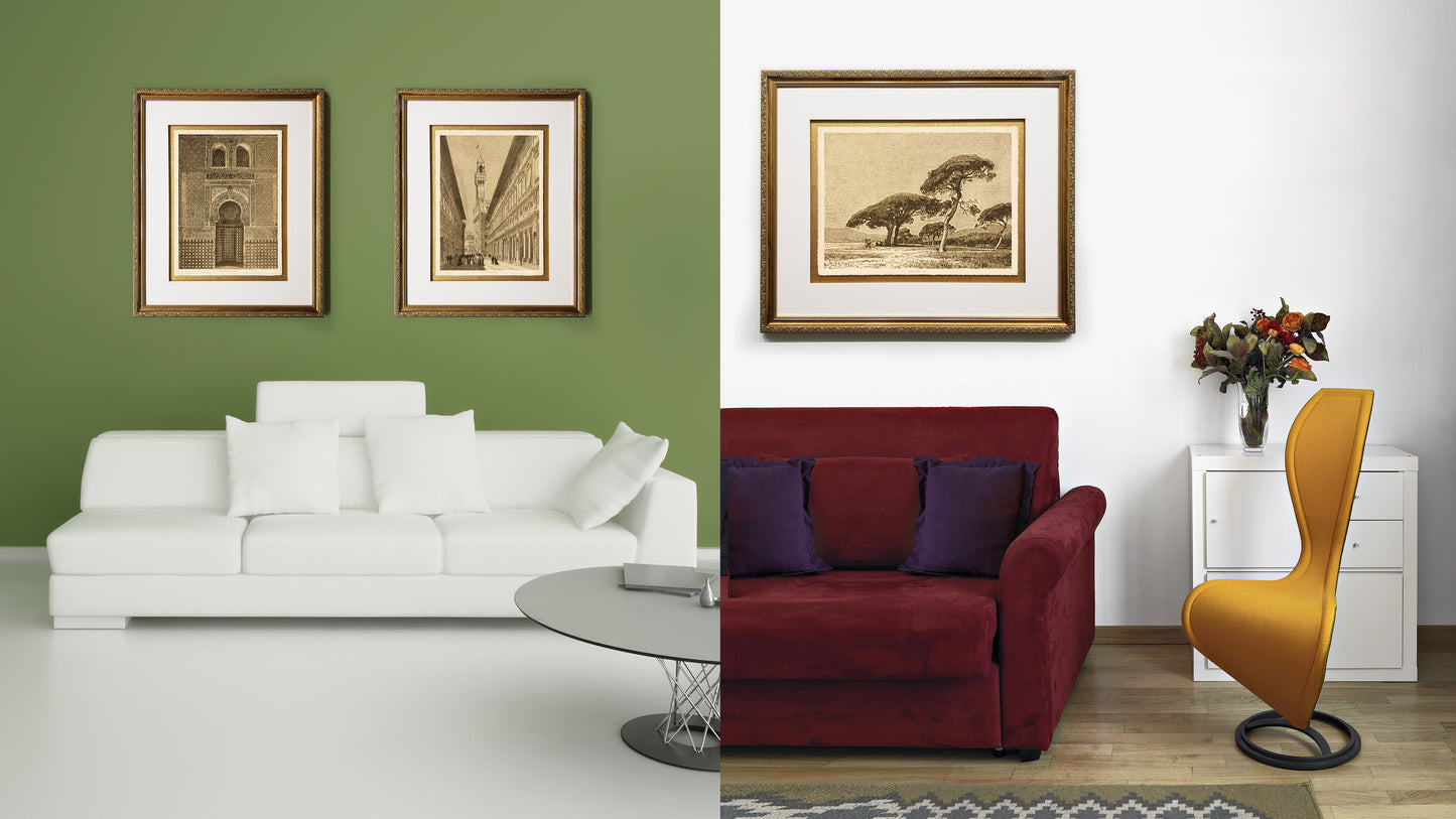 Group of Pines, Cannes Framed Fine Art Prints Gifts Antique Europe Wall Art